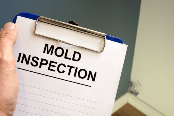 Close-up of a clipboard labeled 'Mold Inspection' held by a professional, with a visible mold spot on the wall in the background. This image represents NSH Home Services' thorough mold inspection and remediation services, ensuring a safe and healthy indoor environment.