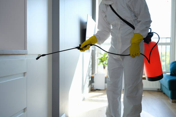 Professional disinfection service using a sprayer for targeted sanitation in a residential setting. Technician in full protective suit and gloves ensures thorough and safe application, provided by NSH Home Services.