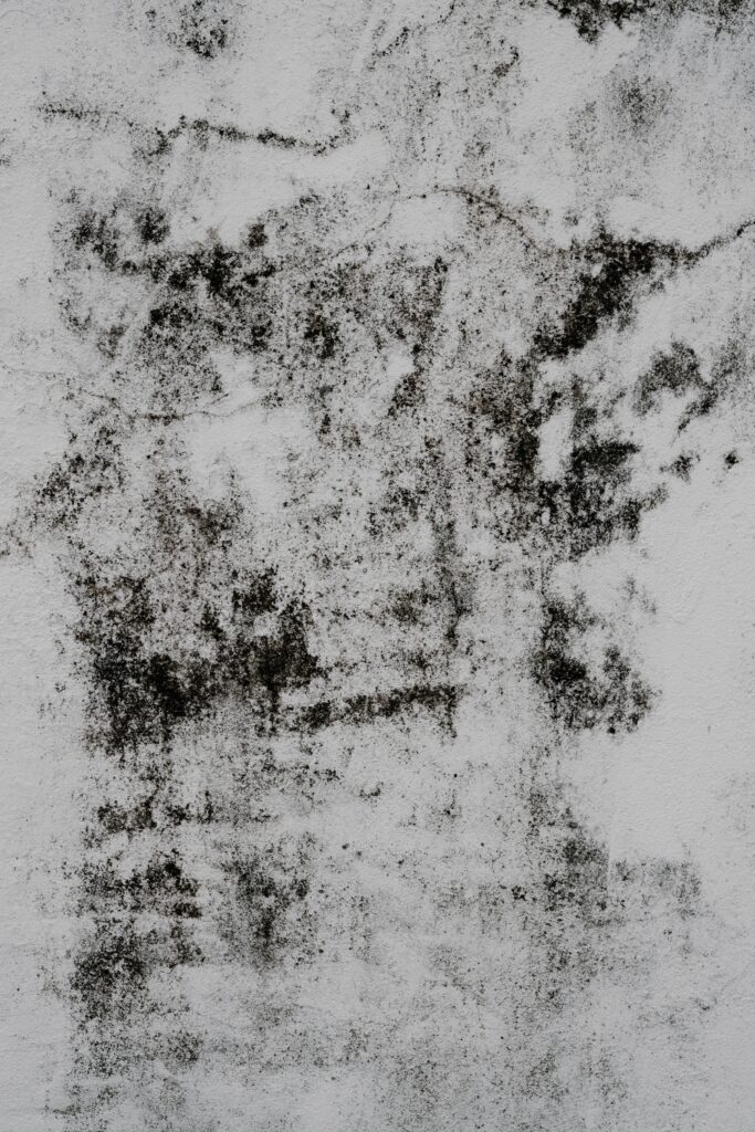 Close-up of a mold-infested wall with black mold spots and discoloration, highlighting the need for professional mold remediation services. This image emphasizes NSH Home Services' expertise in identifying and safely removing mold to restore a healthy living environment.