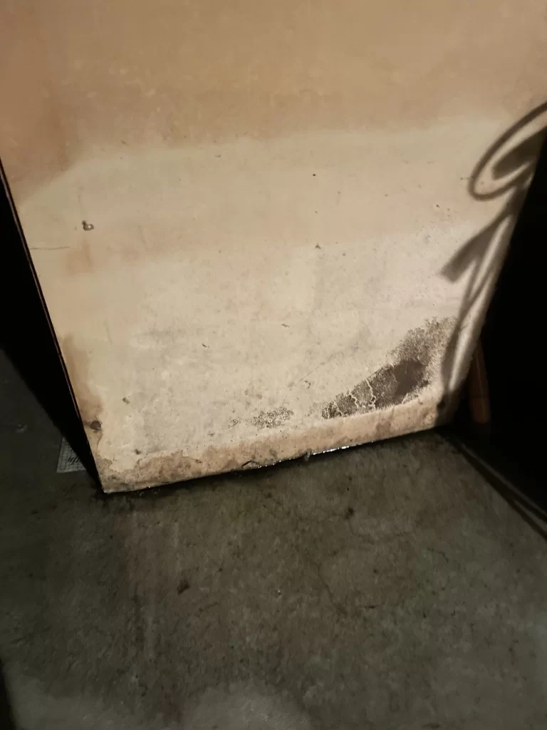 water damage repair