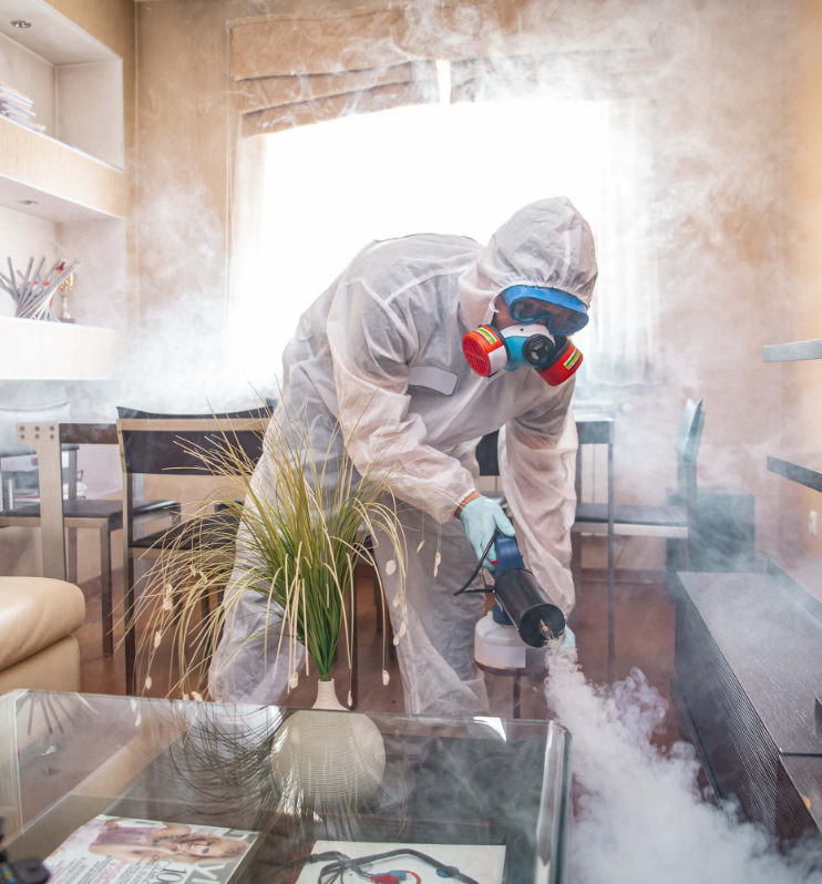 Sanitizing and Disinfecting in New Jersey