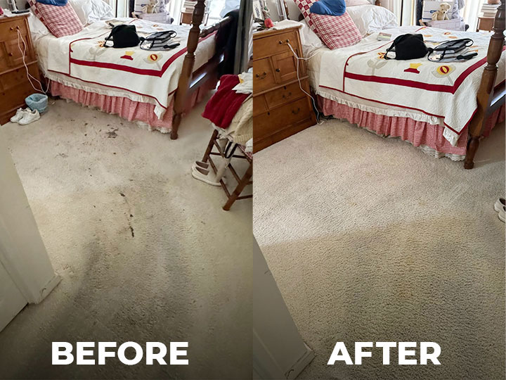 Best Carpet and Upholstery Cleaning Services in NJ