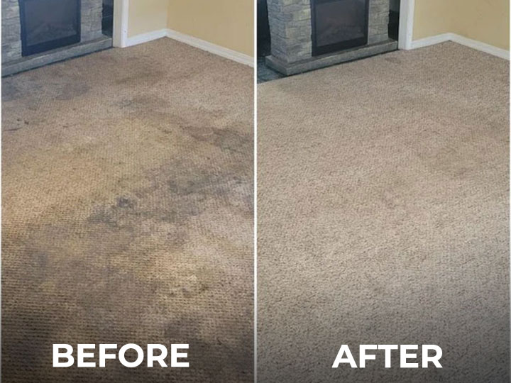 Carpet and Upholstery Cleaning Services in NJ
