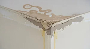 Early Signs of Water Damage in Your Home