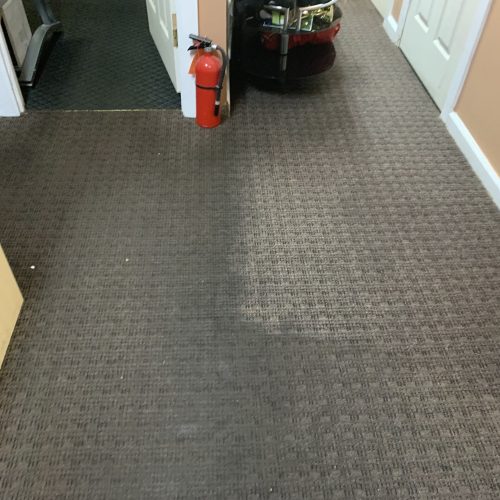 Carpet Cleaning Services