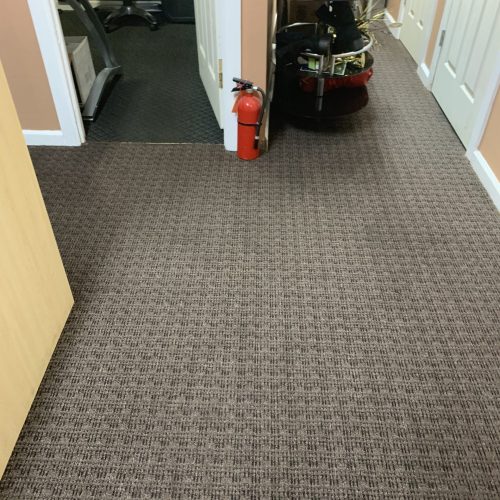 Home services carpet cleaning in NJ