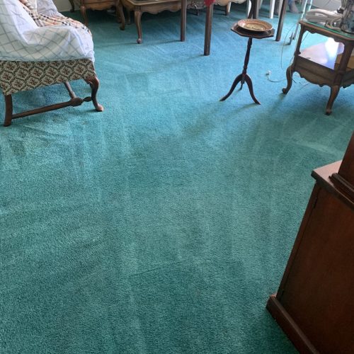 Carpet Cleaning Home services in NJ