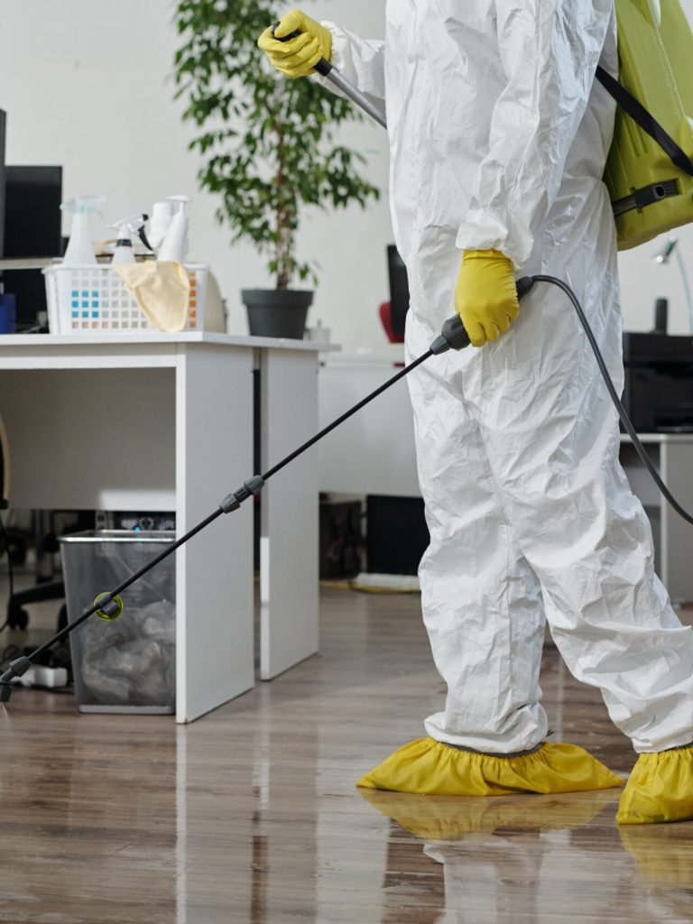 person wearing a full protective suit, including a face mask, gloves, and a hood, engaged in a pest control or disinfection activity inside a home. They are holding a sprayer with a long nozzle, likely used for applying chemicals or disinfectants, while a red tank on their back holds the solution. The setting appears to be a residential space with natural light coming through a window, highlighting the clean, controlled environment